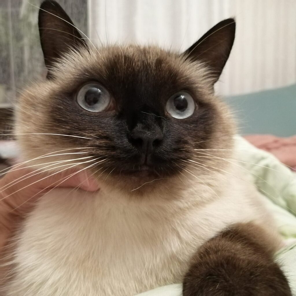 Изображение #1 от Светлана