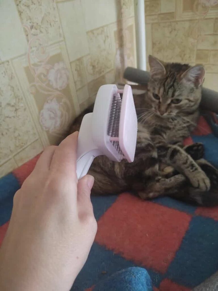 Изображение #2 от Татьяна