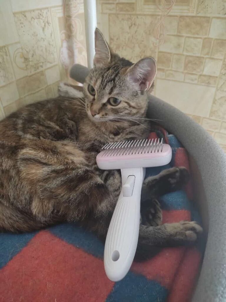 Изображение #3 от Татьяна