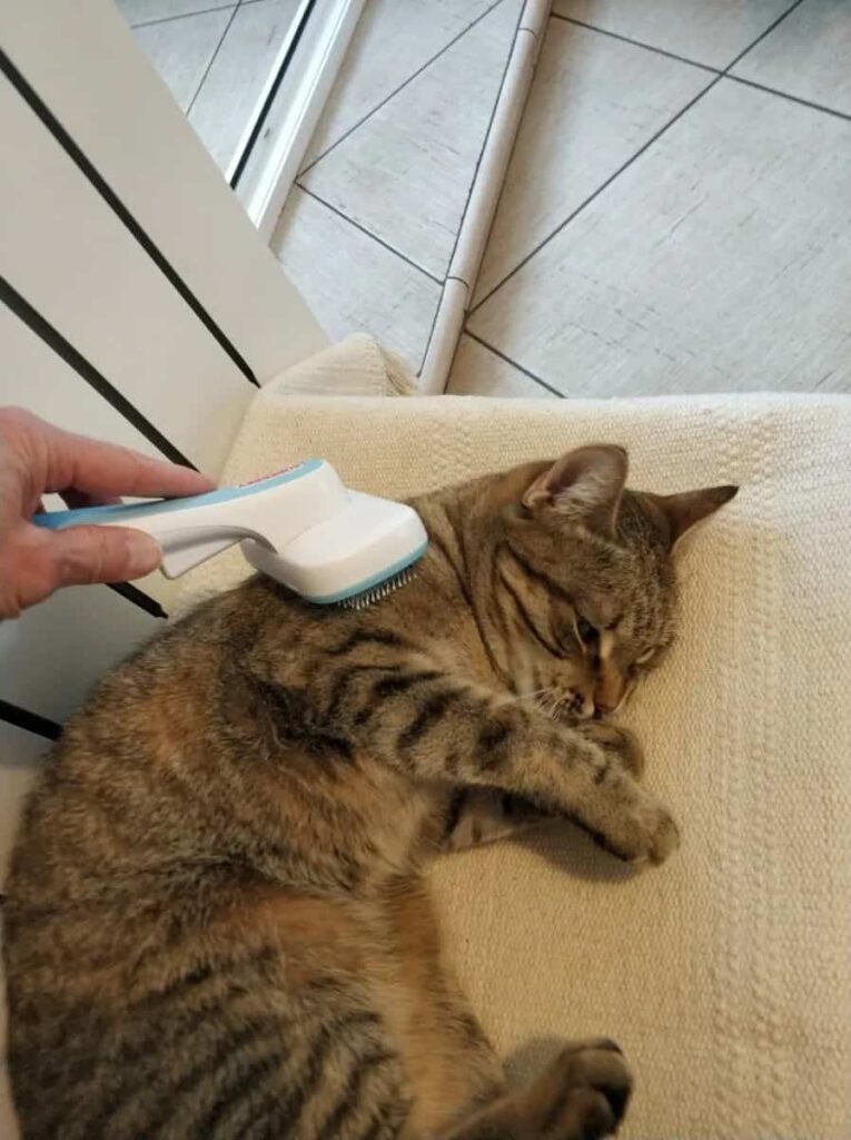 Изображение #1 от Наталия