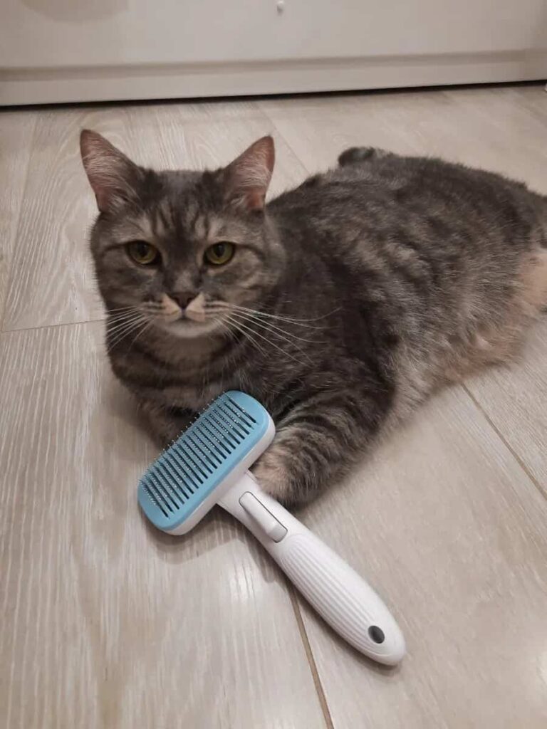 Изображение #5 от Александр К.