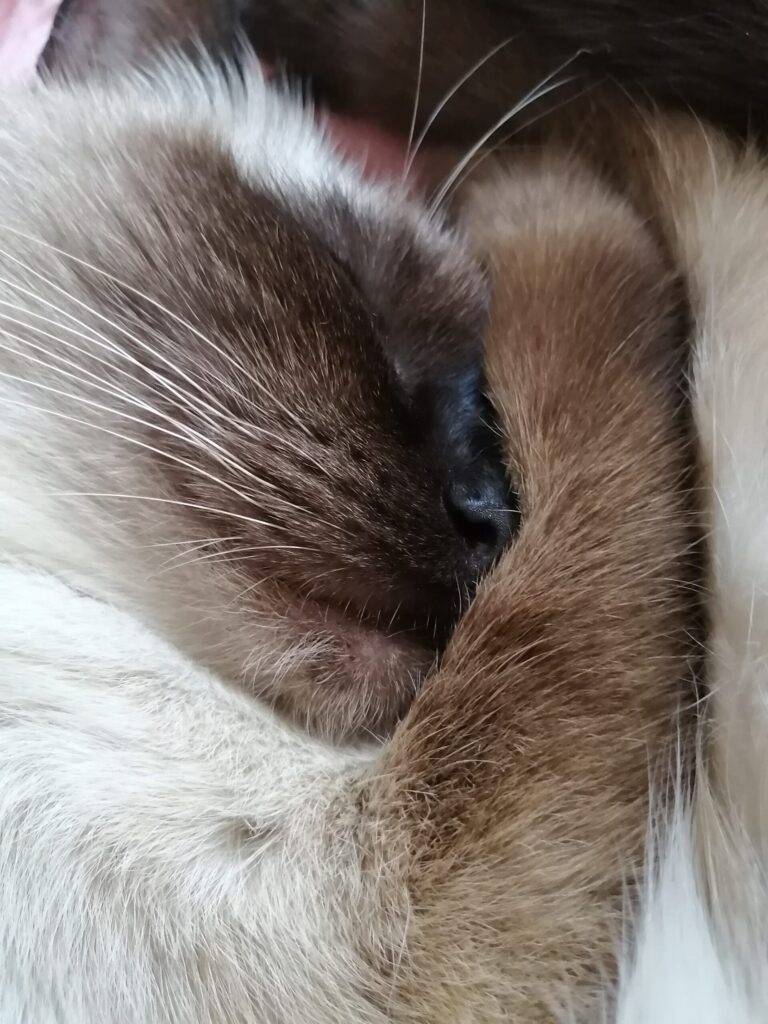 Изображение #1 от Светлана