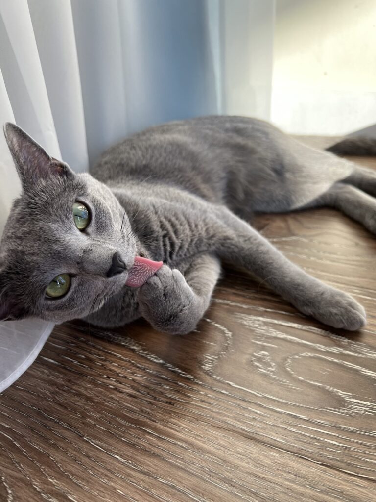 Изображение #6 от Ольга