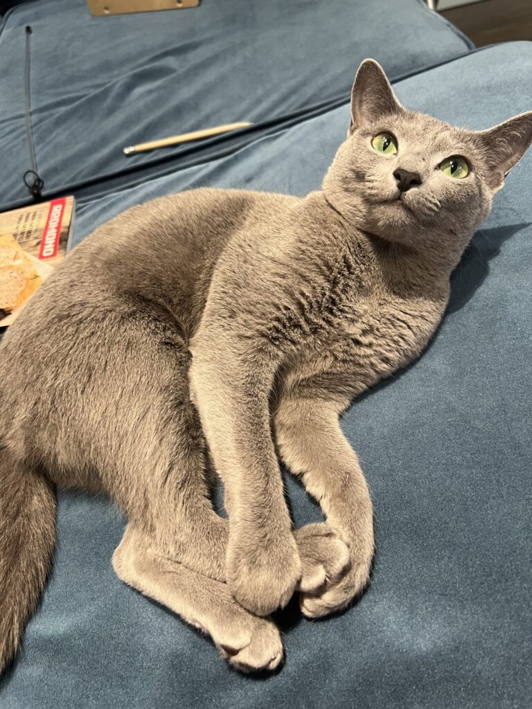 Изображение #1 от Ольга