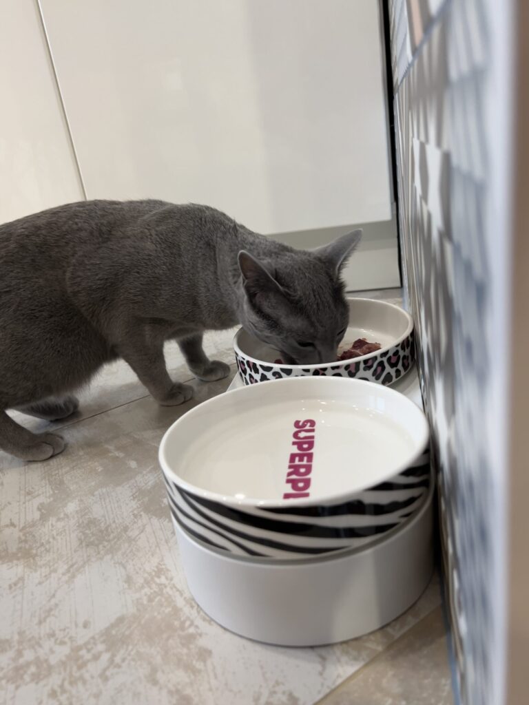 Изображение #2 от Ольга