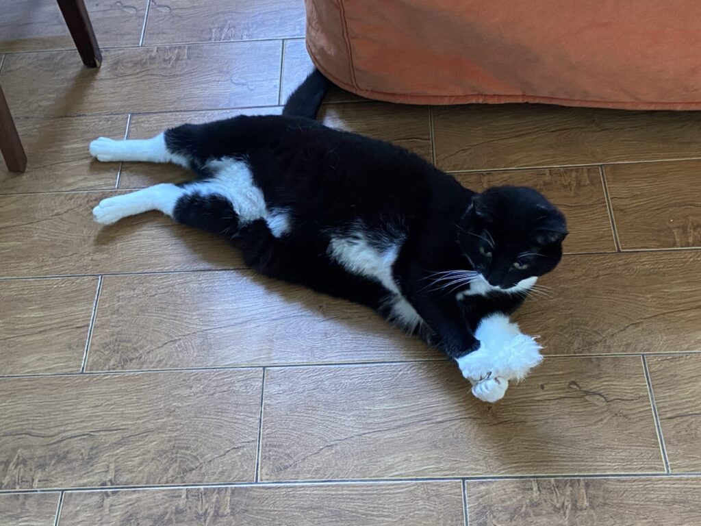 Изображение #1 от Екатерина