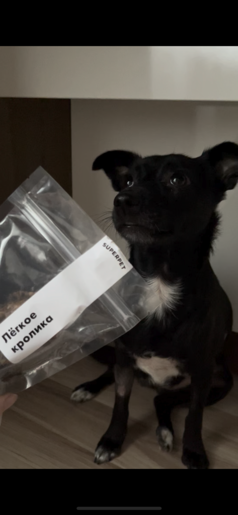 Изображение #1 от Любовь