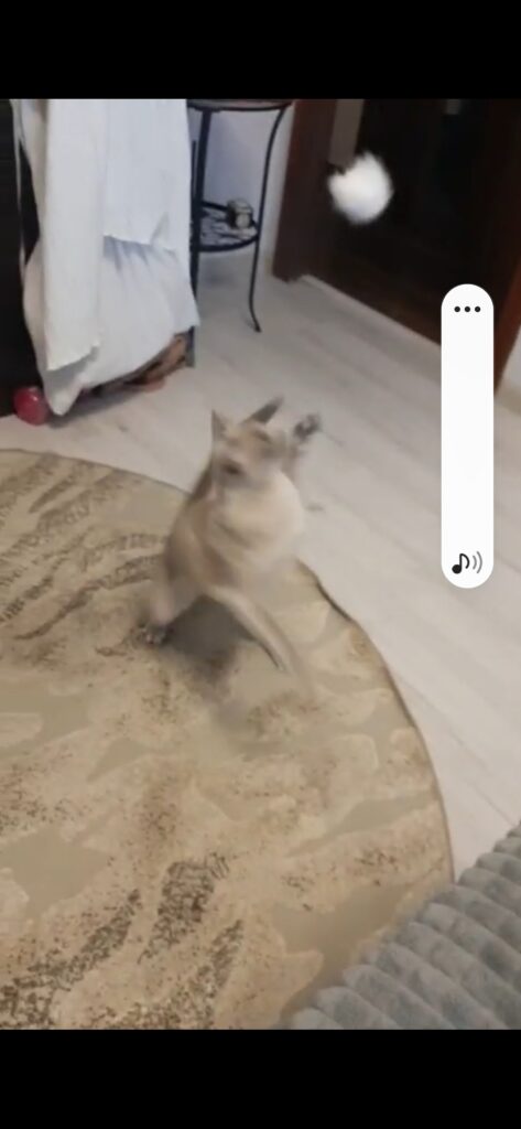 Изображение #2 от Елена