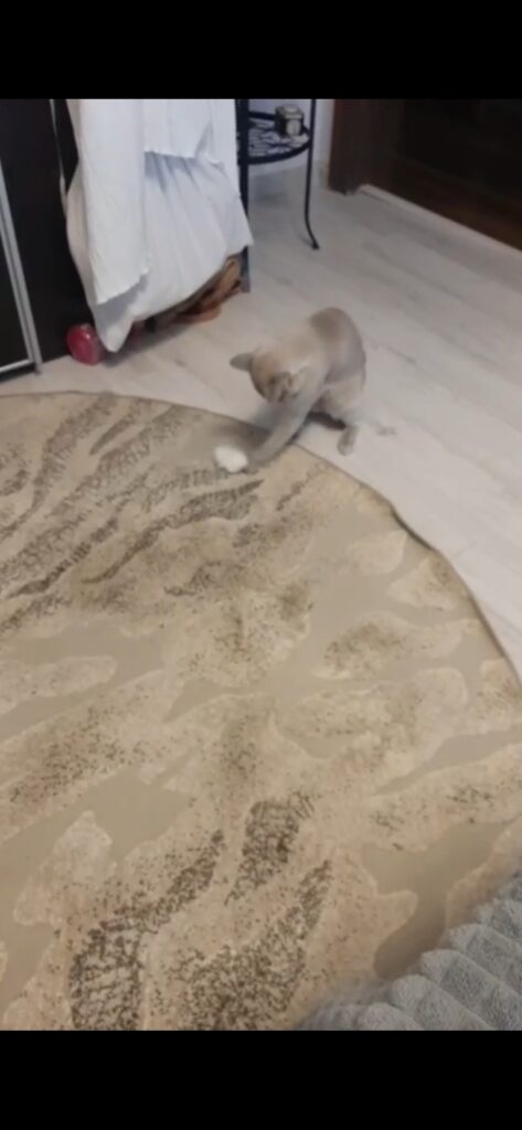 Изображение #1 от Елена