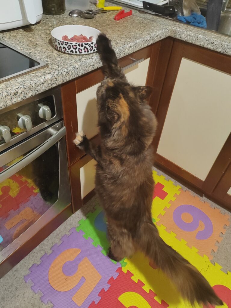 Изображение #1 от Светлана Терентьева