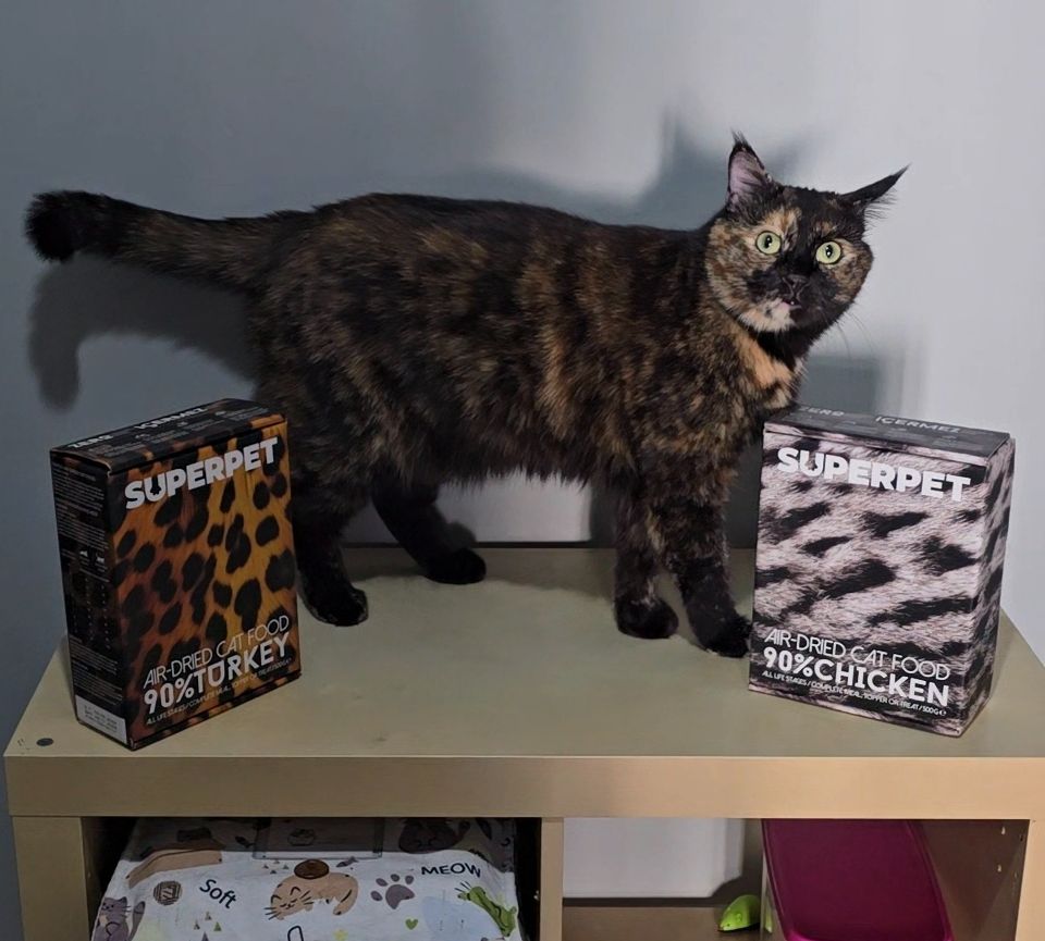 Изображение #1 от Шулька