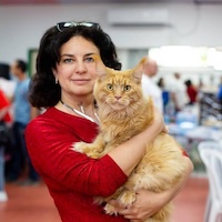 Елена