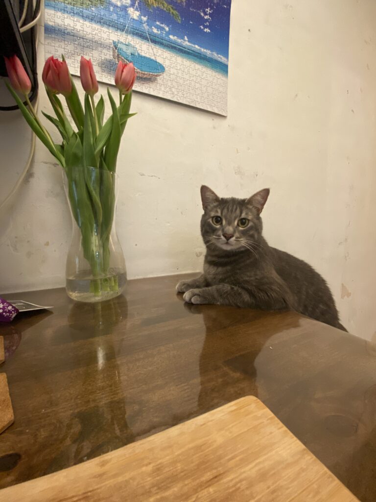 Изображение #1 от Валерий Ефремов